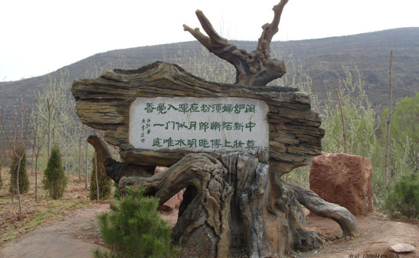 (f) 1185854076882282781.jpg